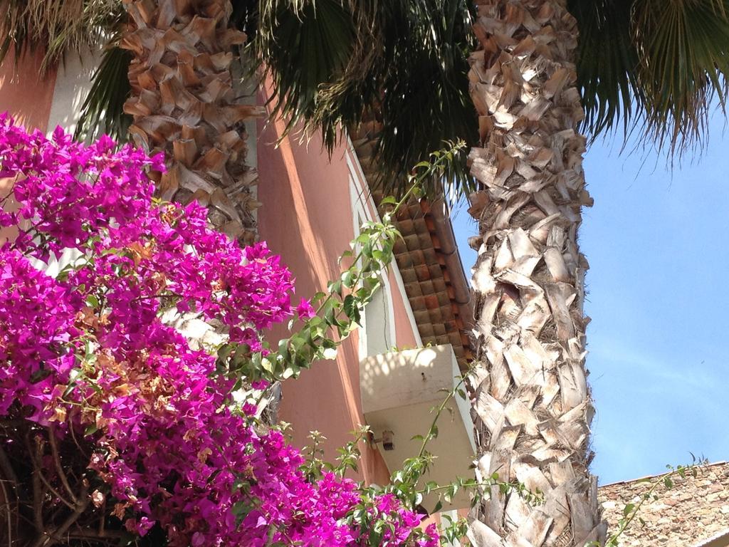 Hotel L'Arena Fréjus Esterno foto